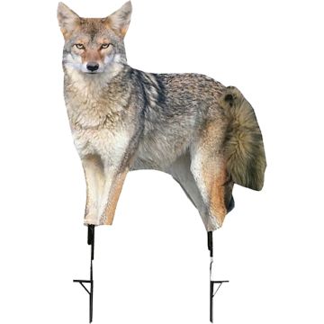 SONG DOG-COYOTE DECOY