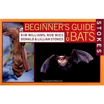 STOKES BEGINNERS GUIDE TO BATS