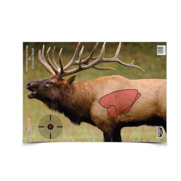 TARGET PREGAME ELK