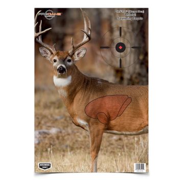 TARGET PREGAME WHITETAIL DR
