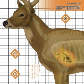 TARGET- X-RAY DEER