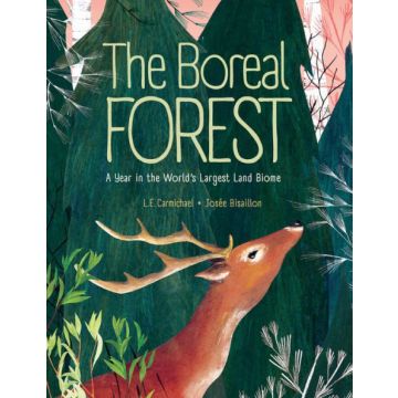 BOREAL FOREST, THE