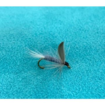 WHIRLINGBLUE DUNN