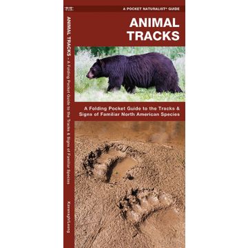WP: ANIMAL TRACKS
