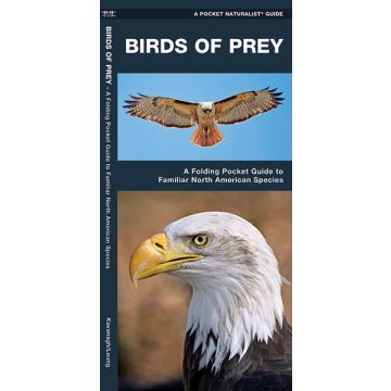 WP: BIRDS OF PREY