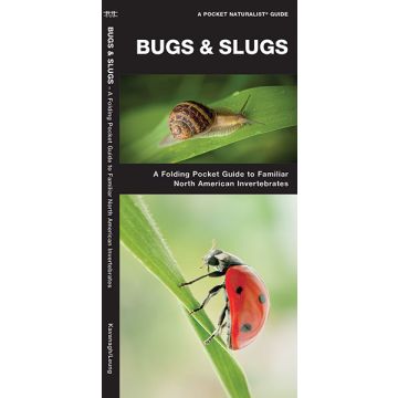 WP: BUGS AND SLUGS 2ND EDITION