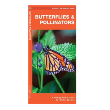 WP: BUTTERFLIES & POLLINATORS