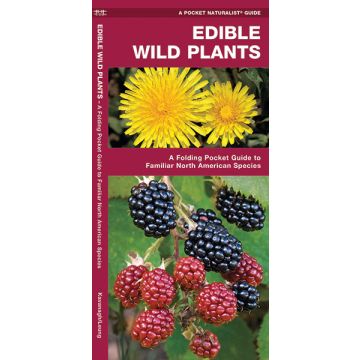 WP: EDIBLE WILD PLANTS