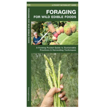 WP: FORAGING FOR WILD EDIBLE
