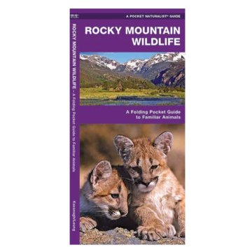 WP: ROCKY MOUNTAIN WILDLIFE