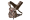 APP FX