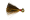 WALLEYE
