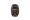 MULTICAM