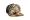 SUBALP