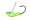 PARAKEET