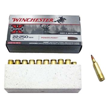 22-250REM 64GR POWER POINT