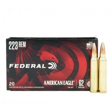 223REM 62GR FMJBT