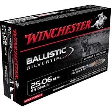 25-06REM 85GR BALLISTIC ST