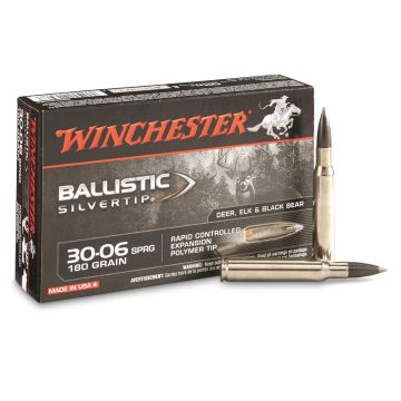 30-06SPFLD 180GR BALISTIC ST