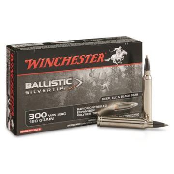 300WIN 180GR BALISTIC ST