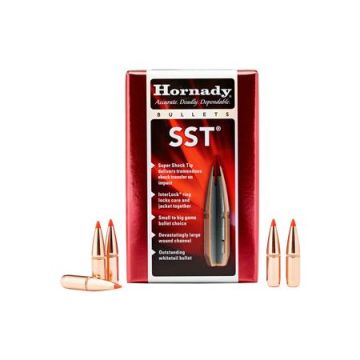 30CAL .308 165GR SST