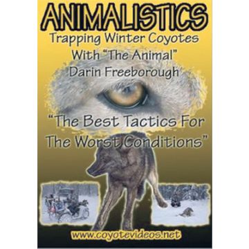 ANIMALISTICS: WINTER COYOTES