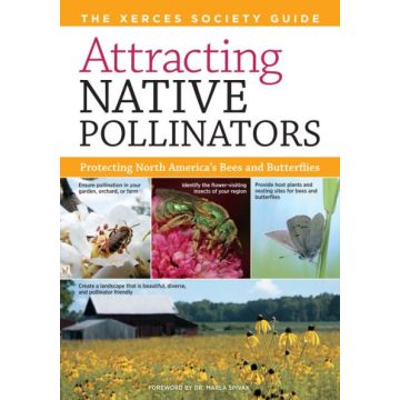 ATTRACTING NATIVE POLLINATORS