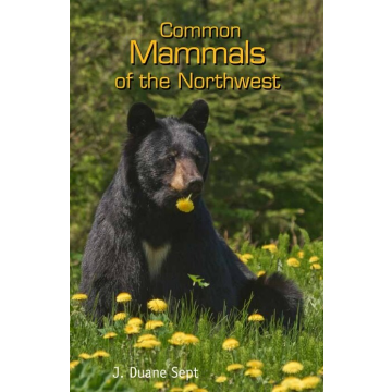 COMMON MAMMALS OF THE NW