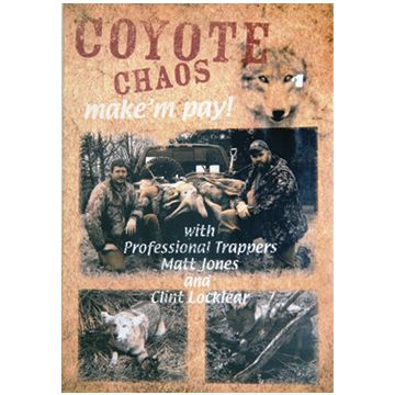 COYOTE CHAOS