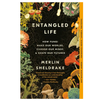 ENTANGLED LIFE: HOW FUNGI