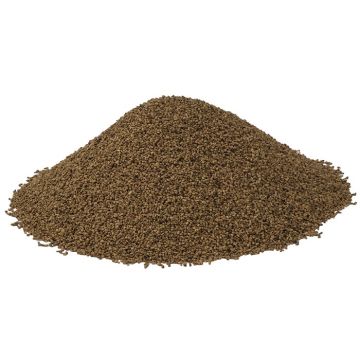 FORMULA 1 WALNUT SHELLDRY MEDI