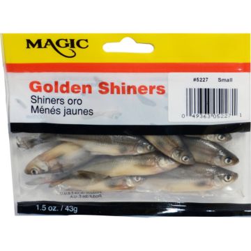 GOLDEN SHINERS
