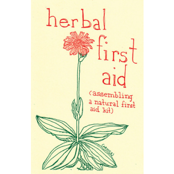 HERBAL FIRST AID: ASSEMBLING A