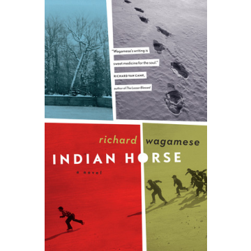 INDIAN HORSE