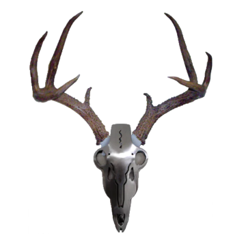 IRON BUCK ANTLER MOUNT