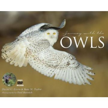 JOURNEY WITH THE OWL