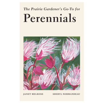PRAIRIE GARDENERS GO-TO PERENN