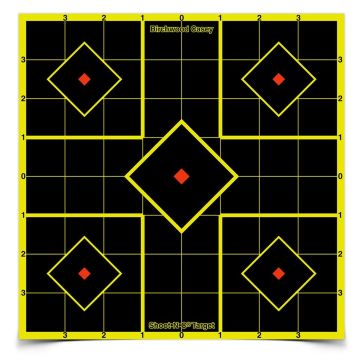 SHOOT-N-C 8" TARGET