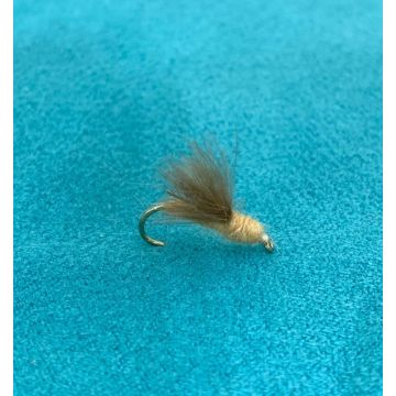 TAN CDC CADDIS