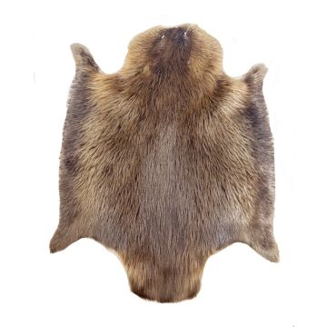 TANNED BEAVER PELT