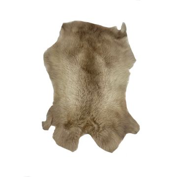TANNED RABBIT SKIN