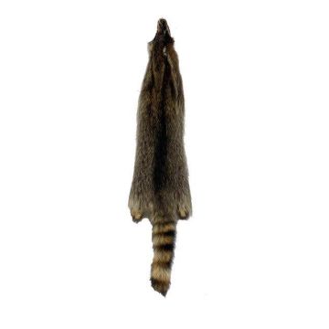 TANNED RACCOON PELT