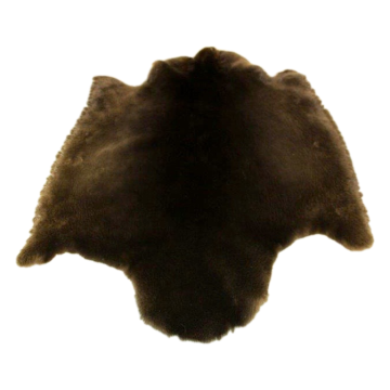 TANNED SHEARED BEAVER PELT