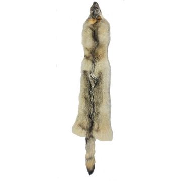 TANNED WOLF PELT