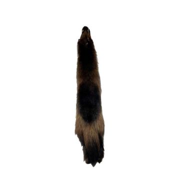 TANNED WOLVERINE PELT