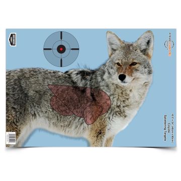 TARGET PREGAME COYOTE