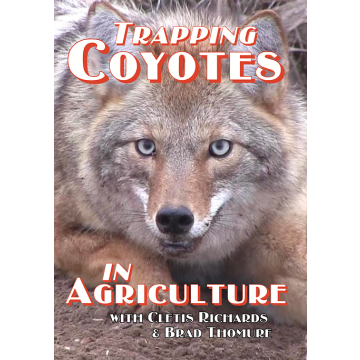 TRAPPING COYOTES / AGRICULTURE