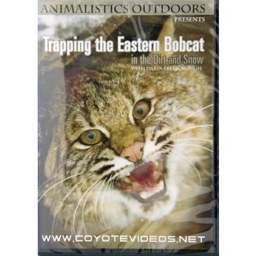 TRAPPING EASTERN BOBCAT