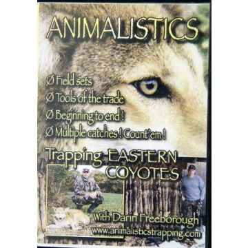 TRAPPING EASTERN COYOTE