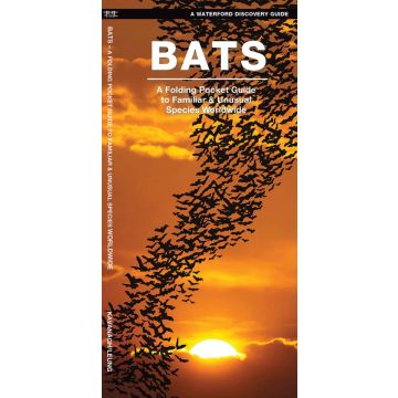 WP: BATS